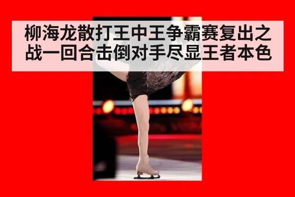 柳海龙散打王中王争霸赛复出之战一回合击倒对手尽显王者本色